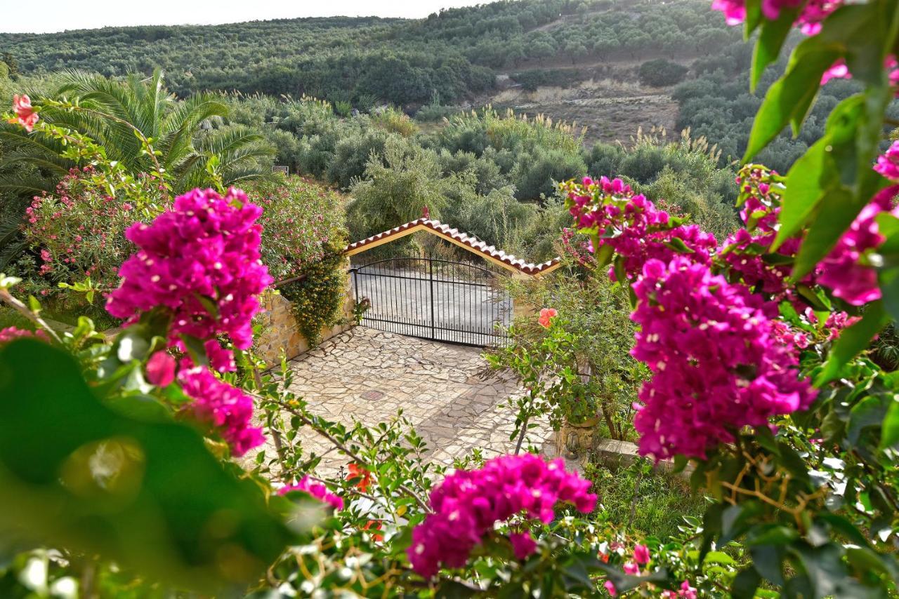 Olive Farm Villa Agia Marina Buitenkant foto
