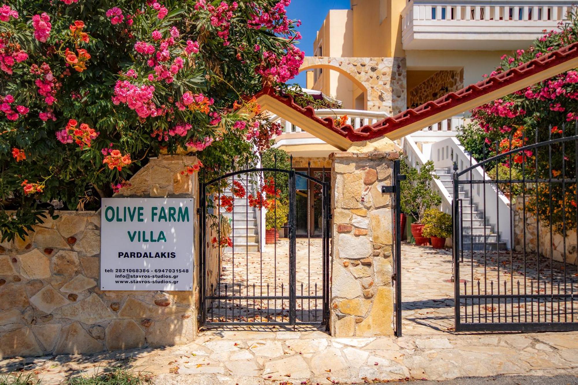 Olive Farm Villa Agia Marina Buitenkant foto